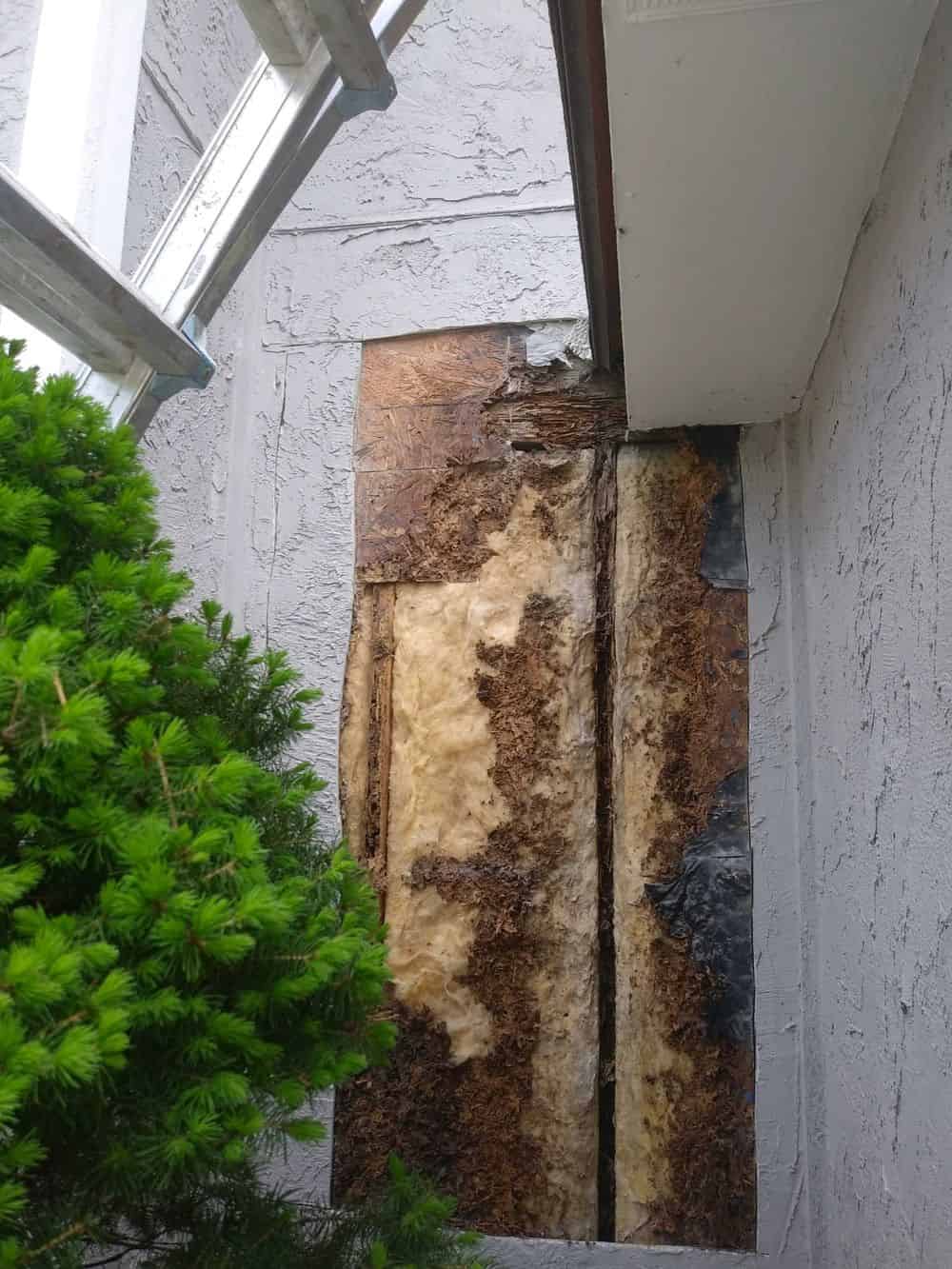 Wood Rot Repair image